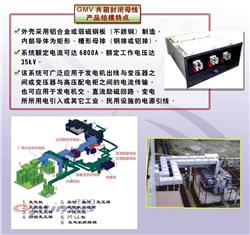 杭州环氧树脂硫化绝缘技术GMV series-CS